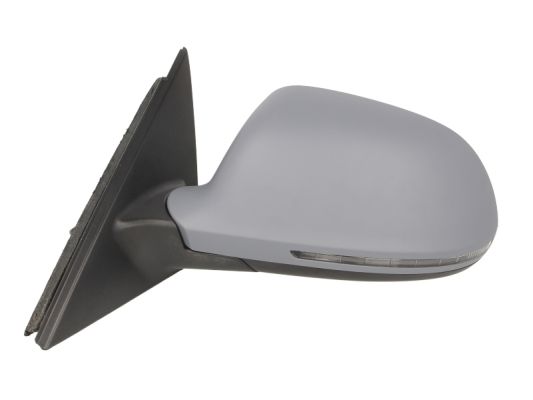 Blic Buitenspiegel 5402-25-032333P