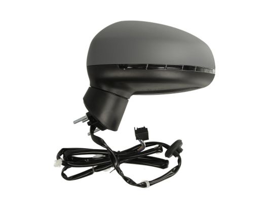 Blic Buitenspiegel 5402-25-044361P