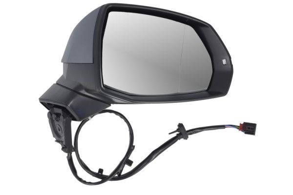 Blic Buitenspiegel 5402-25-1875315P