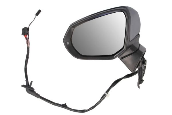 Blic Buitenspiegel 5402-25-2178314P