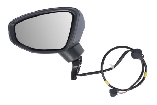 Blic Buitenspiegel 5402-25-2320310P