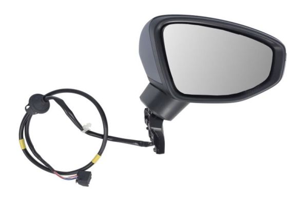 Blic Buitenspiegel 5402-25-2320311P