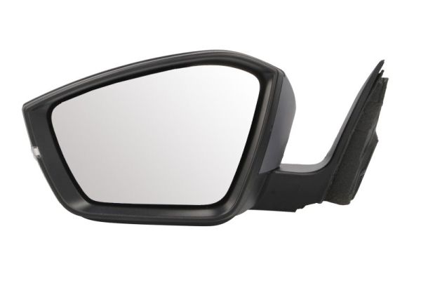 Blic Buitenspiegel 5402-43-1319310P