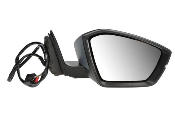 Blic Buitenspiegel 5402-43-1319311P