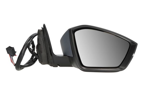 Blic Buitenspiegel 5402-43-1319313P