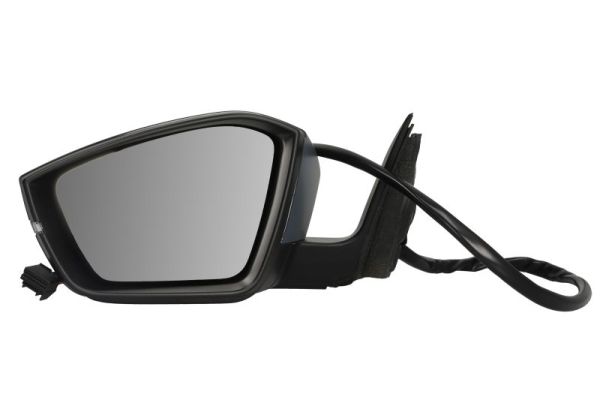 Blic Buitenspiegel 5402-43-1319316P