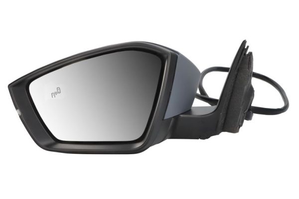 Blic Buitenspiegel 5402-43-1319318P