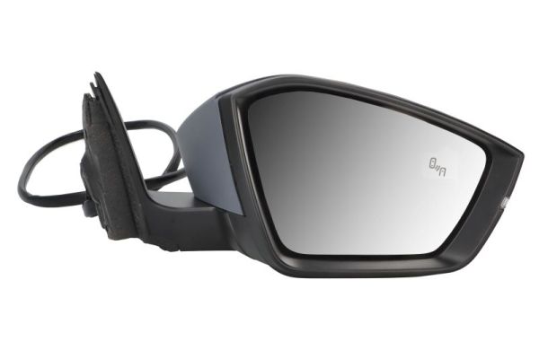 Blic Buitenspiegel 5402-43-1319319P