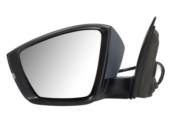 Blic Buitenspiegel 5402-43-1925314P