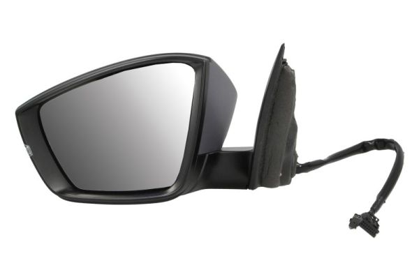 Blic Buitenspiegel 5402-43-1925318P