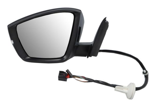 Blic Buitenspiegel 5402-43-1926326P