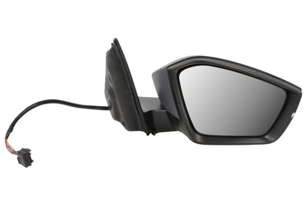 Blic Buitenspiegel 5402-43-2195313P