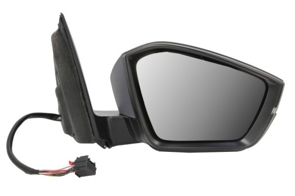 Blic Buitenspiegel 5402-43-2195315P