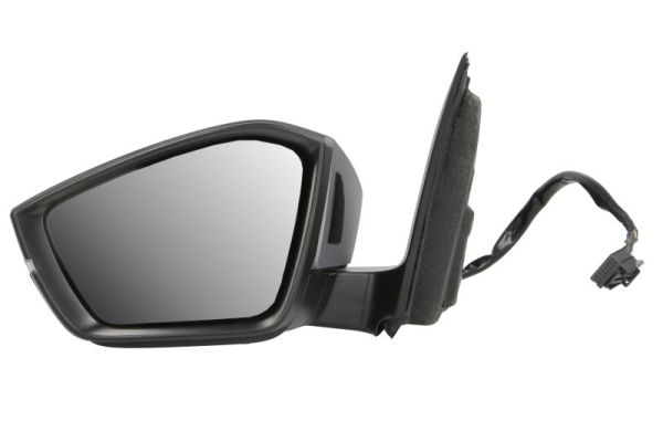 Blic Buitenspiegel 5402-43-2195316P