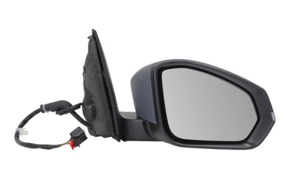 Blic Buitenspiegel 5402-43-2557317P