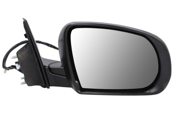 Blic Buitenspiegel 5402-55-2222311P