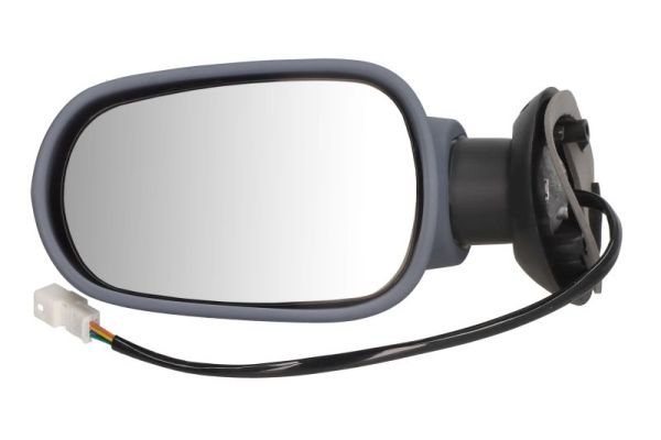 Blic Buitenspiegel 5402-67-2002804P