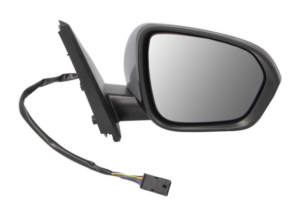 Blic Buitenspiegel 5402-67-2146317P