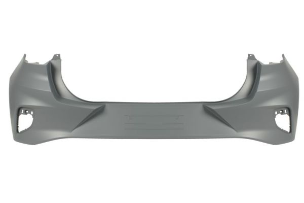 Blic Bumper 5506-00-2595954Q