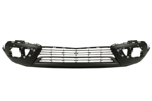 Blic Bumper 5510-00-5036901P