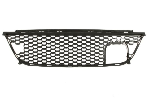 Blic Ventilatiegrille, bumper 5513-00-3206921CP