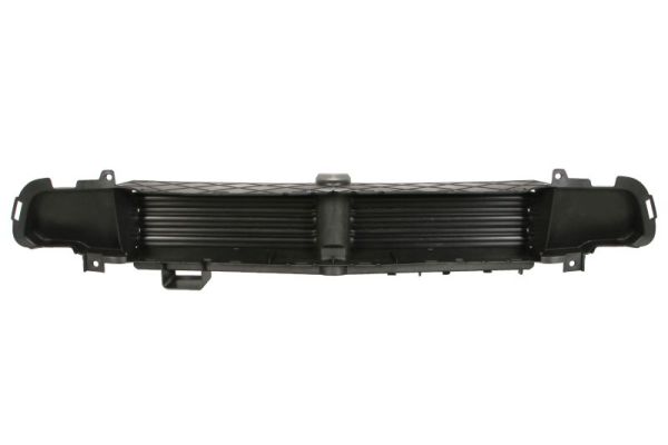 Blic Ventilatiegrille, bumper 5513-00-3206929P