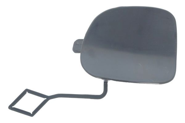 Blic Bumperafdekking, trekhaak 5513-00-5724925P