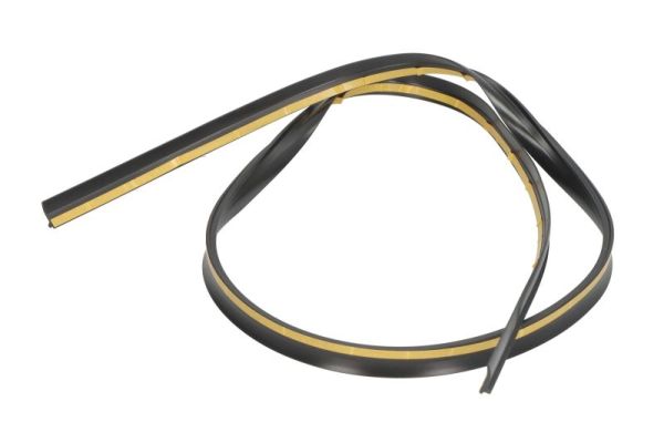 Blic Afdichting voorruit 5703-04-0063102P