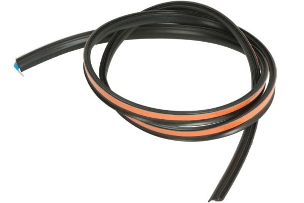 Blic Afdichting, voorruit 5703-04-6037158Q