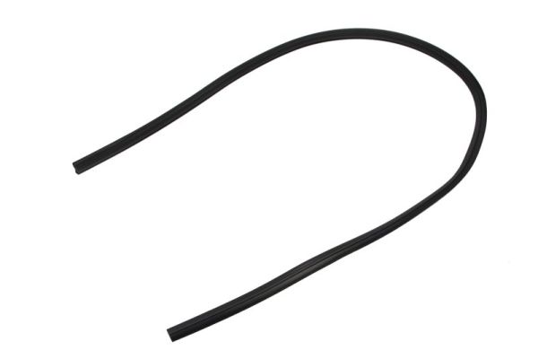 Blic Afdichting, voorruit 5703-04-6037632Q