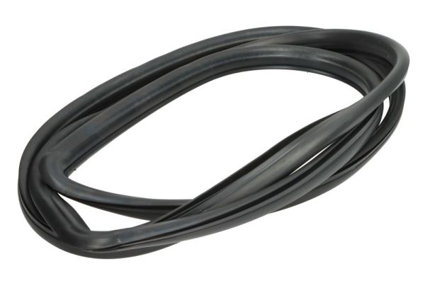 Blic Afdichting, voorruit 5703-04-6037712Q