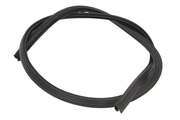 Blic Afdichting, voorruit 5703-04-6038011Q