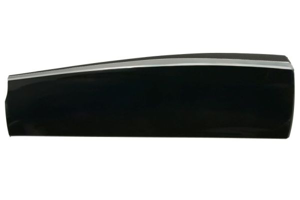 Blic Sier- / beschermingspaneel, deur 5703-04-7807578P