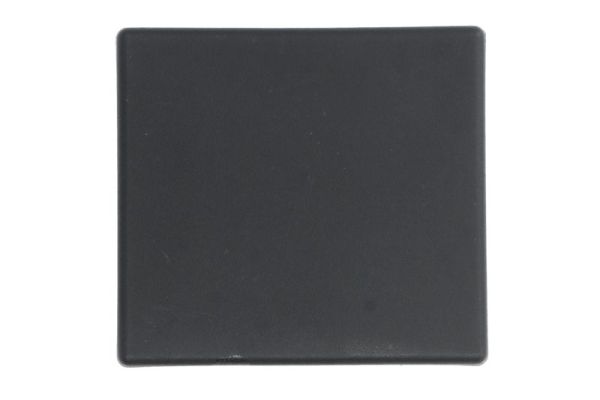 Blic Ventilatiegrille, bumper 5703-05-9576919PP