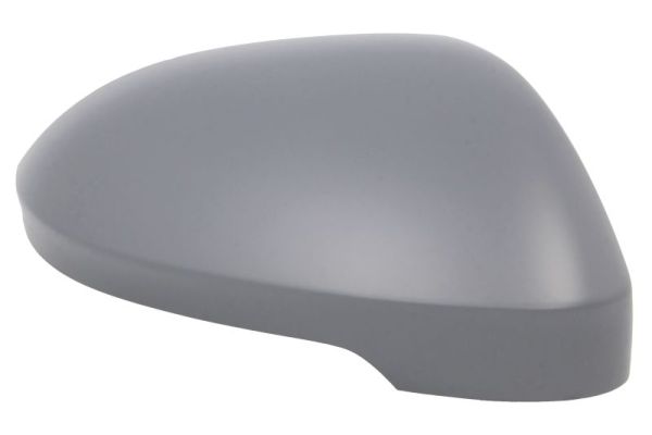 Blic Afdekking, buitenspiegel 6103-01-2555313P