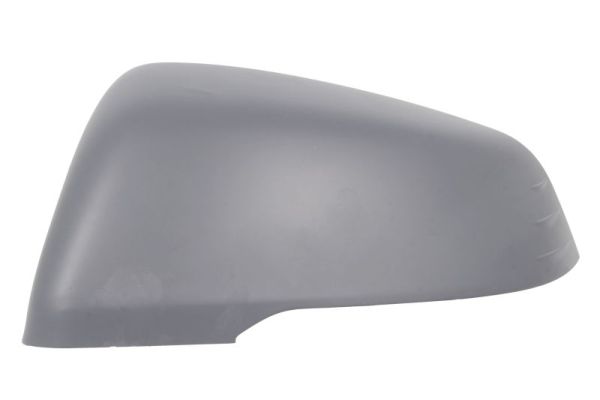 Blic Afdekking, buitenspiegel 6103-05-2266310P