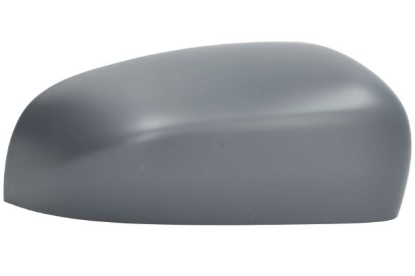 Blic Afdekking, buitenspiegel 6103-55-2222311P