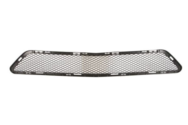 Blic Ventilatiegrille, bumper 6502-02-3580910P