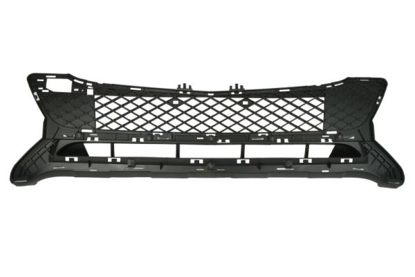 Blic Ventilatiegrille, bumper 6502-02-3580915P