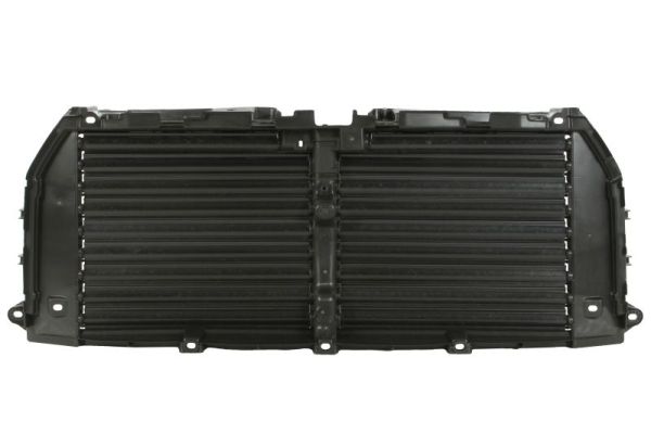 Blic Ventilatiegrille, bumper 6502-03-2593205P