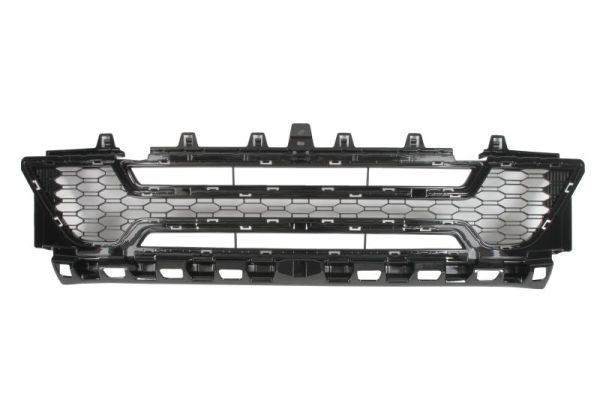 Blic Ventilatiegrille, bumper 6502-07-0024990P