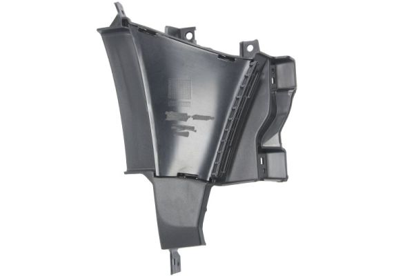 Blic Ventilatiegrille, bumper 6502-07-0043918P