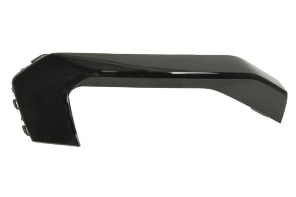 Blic Sier- / beschermingspaneel, bumper 6502-07-0048976BP