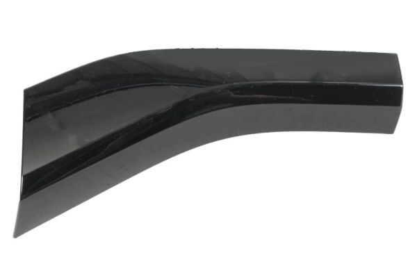 Blic Sier- / beschermingspaneel, bumper 6502-07-0048979BP