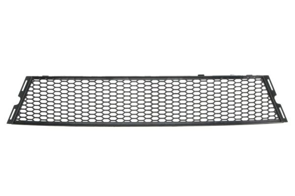 Blic Ventilatiegrille, bumper 6502-07-00629910PP