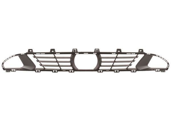Blic Ventilatiegrille, bumper 6502-07-0064910P