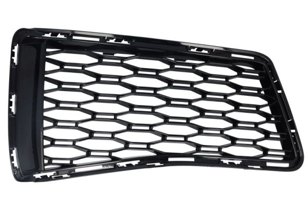 Blic Ventilatiegrille, bumper 6502-07-0067946P
