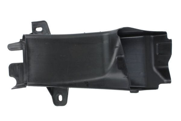 Blic Ventilatiegrille, bumper 6502-07-00679912GP