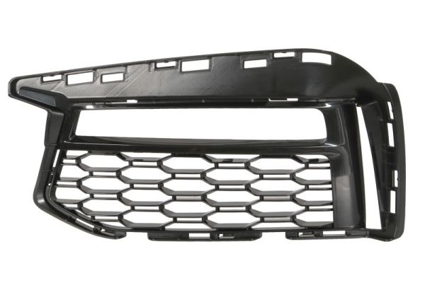 Blic Ventilatiegrille, bumper 6502-07-0068925P
