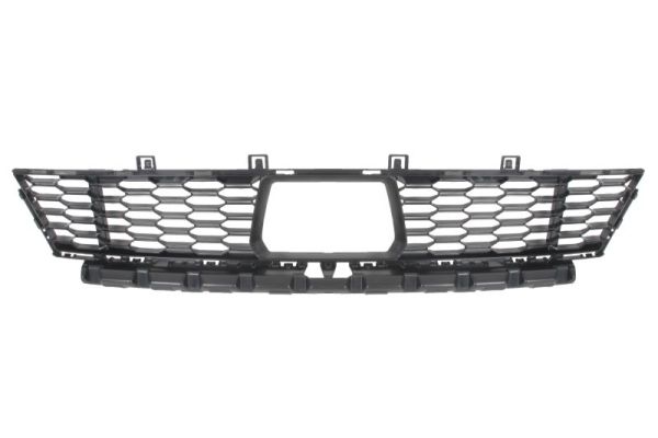 Blic Ventilatiegrille, bumper 6502-07-0073915P